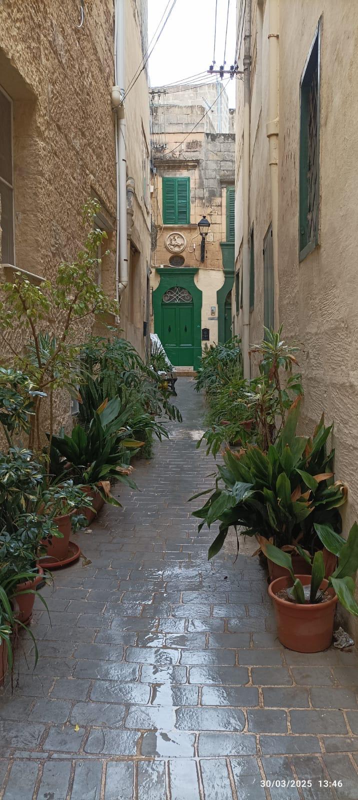 Ruelle étroite de la vieille ville de Victoria, Gozo, bordée de pots de fleurs, avec une porte et des volets verts en arrière-plan.